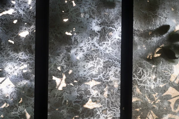 Decke Licht Sommer Blätter und Schatten — Stockfoto