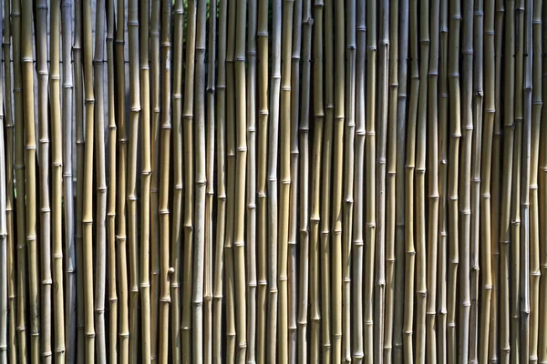 Muralla de bambú zen chino — Foto de Stock