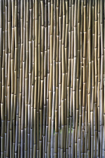 Mur en bambou zen chinois — Photo