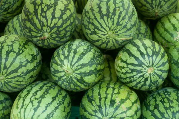 Vattenmelon tropiska — Stockfoto