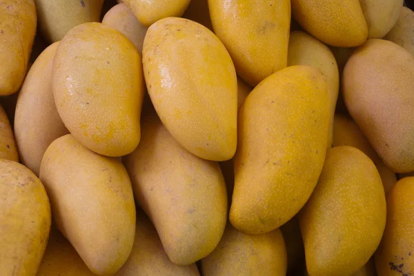 Specjalnych odmian mango — Zdjęcie stockowe