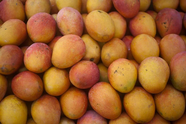 Variedades especiales de mango — Foto de Stock