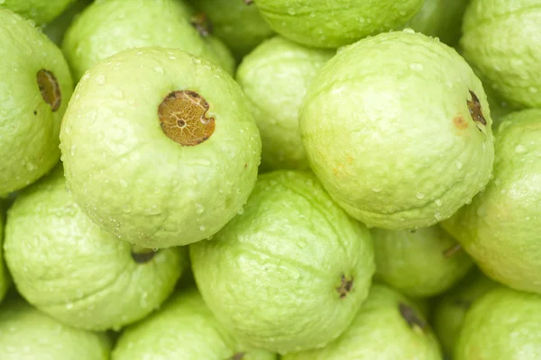 Tropikal guava — Stok fotoğraf