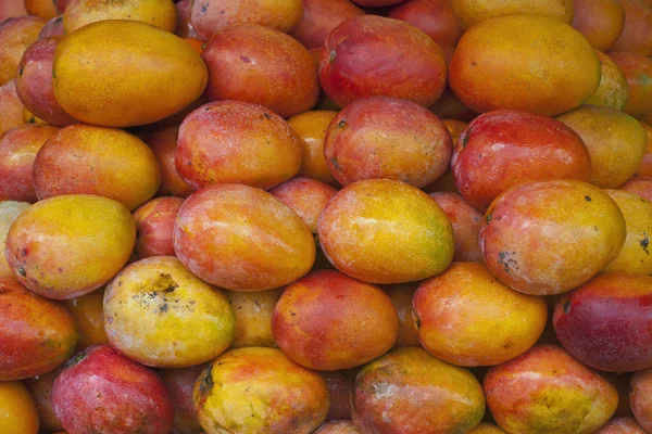 stock image Special varieties of mango