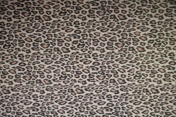 Cats pattern — Stock Photo, Image