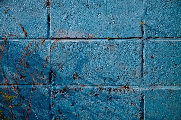 Modrá zeď — Stock fotografie