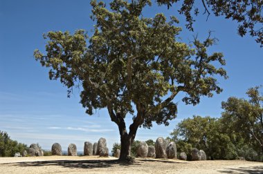 almendres, evora megalitik anıt