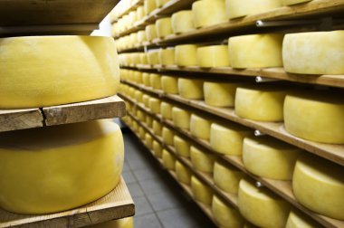 kurutma peynir