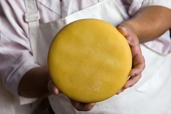 Käse in der Hand — Stockfoto
