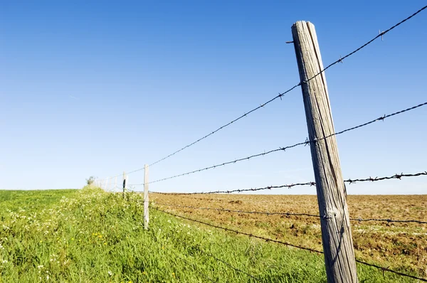 Barbwire fence — Stock Photo, Image