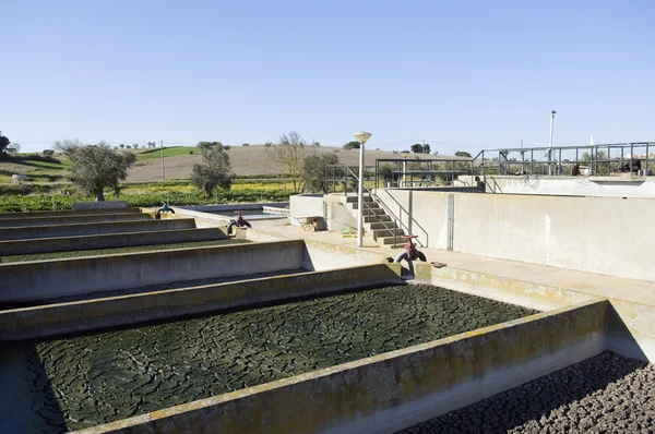 Wastewater sanitation plant — Stock Photo, Image