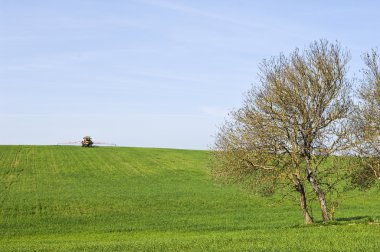 kırsal sahne