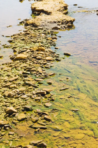 Загрязнённая река — стоковое фото