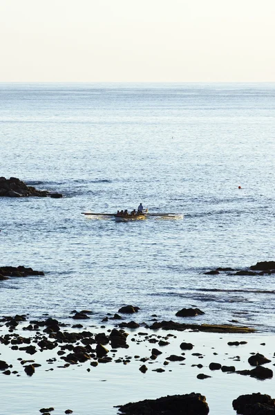 Βάρκα με κουπιά που πλησιάζει στο pico, Αζόρες — Φωτογραφία Αρχείου