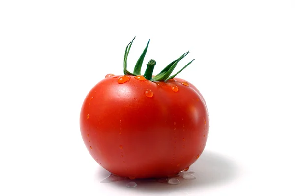 Tomat med droppe vatten — Stockfoto