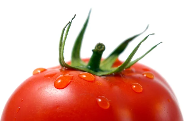 Agua desgarrada en el tomate . — Foto de Stock