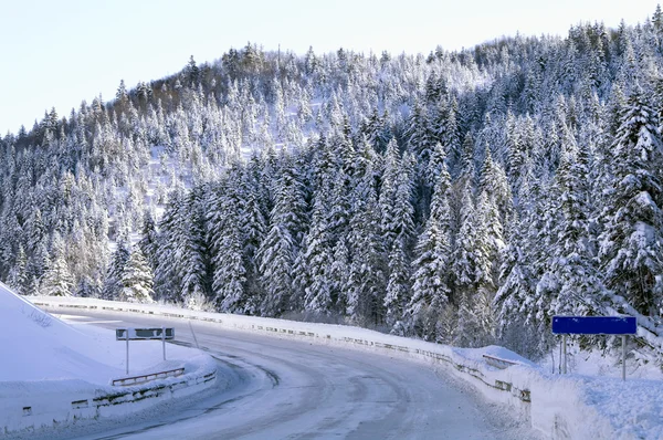 Kış dağ yolu