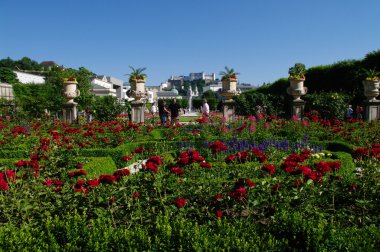 Güller güzel bir park Salzburg.