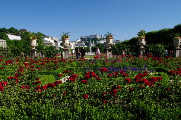 Güller güzel bir park Salzburg. — Stok fotoğraf