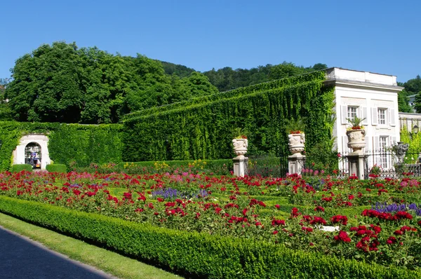Beautiful park in Salzburg — Stockfoto