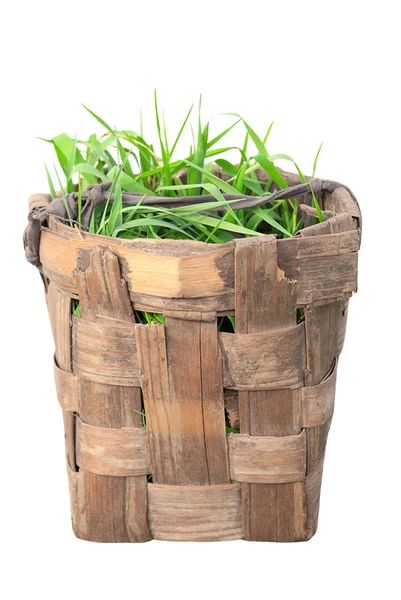 Isolerade gammal korg med grönt gräs — Stockfoto