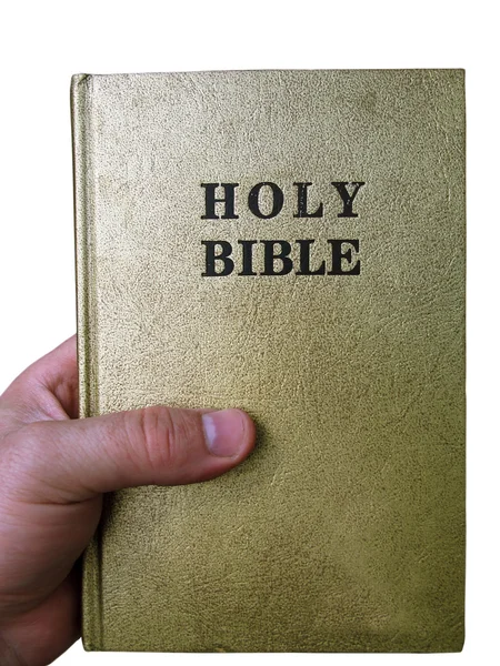 stock image Bible in hand