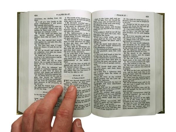 성경을 읽는 일 — 스톡 사진