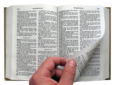 Reading the Bible clipart