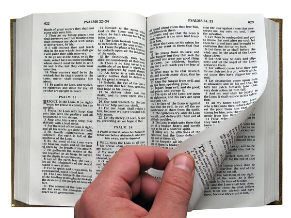 De Bijbel lezen — Stockfoto