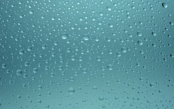 stock image Water drops