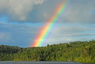 Rainbow in the Wilderness clipart