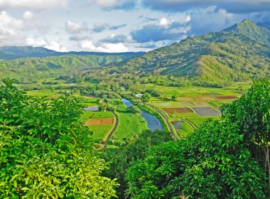 Hanalei Valley on Kauai clipart