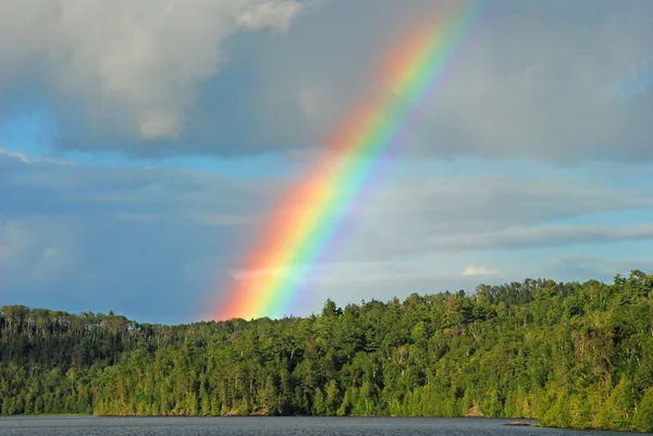 stock image Rainbow in the Wilderness