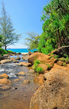 Hanakapiai Creek in Hawaii clipart