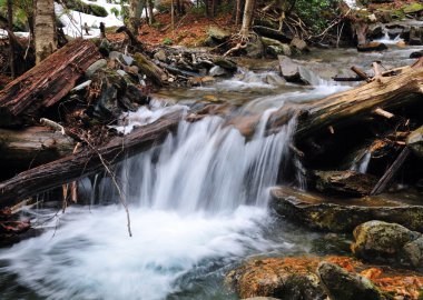 A small stream in the Smoky Mountains clipart