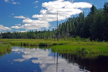 Lake, Clouds, and marsh clipart