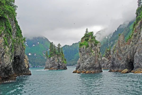 Piikkisika lahti Alaskassa — kuvapankkivalokuva