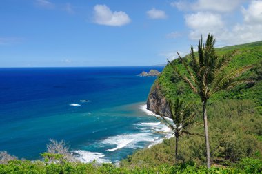 Hawaii pololu uyanık