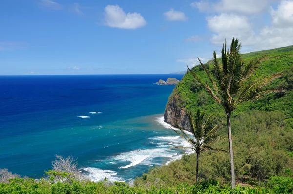 The Pololu lookout in Hawaii — Stock Photo, Image