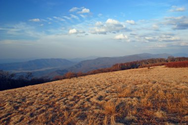 Evening colors on a Bald Mountain. clipart