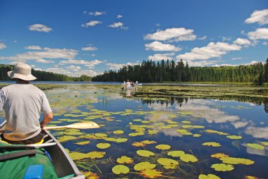 Canoeing through the Lily pads clipart