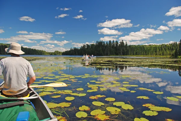 Canoeing through the Lily pads — Stock Photo, Image