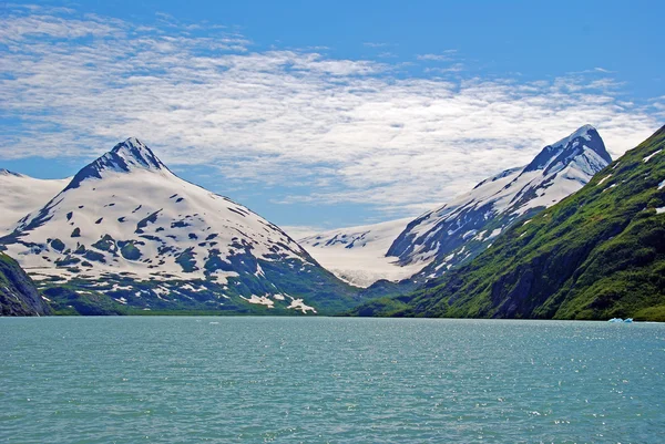 在阿拉斯加的冰川刻的山 — 图库照片