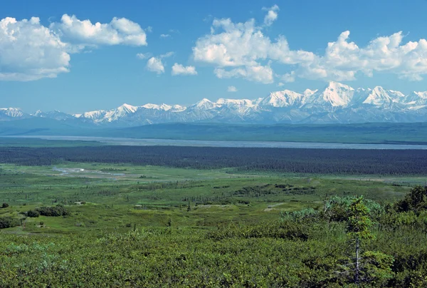 Die alaska-kette im mckinley river — Stockfoto