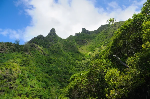 Falésias tropicais no Havaí — Fotografia de Stock