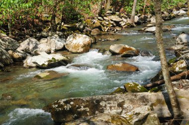 Mountain stream in the Spring clipart