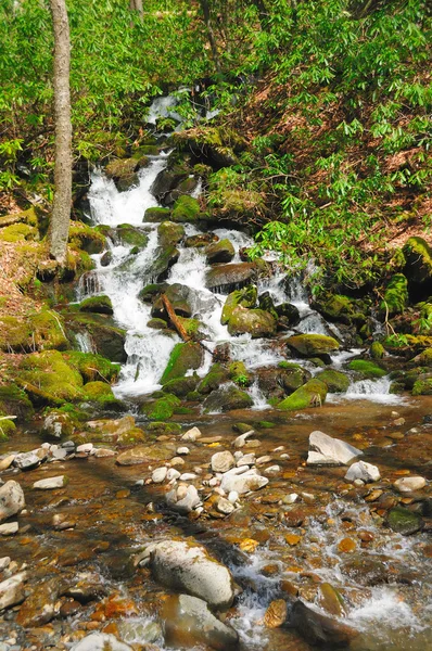 Mountain cascade in the Spring — Stock Photo, Image