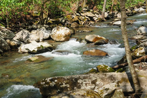 Mountain stream in the Spring — Stock Photo, Image