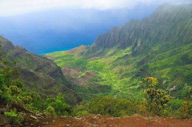 Ocean mists in a Tropical Valley clipart