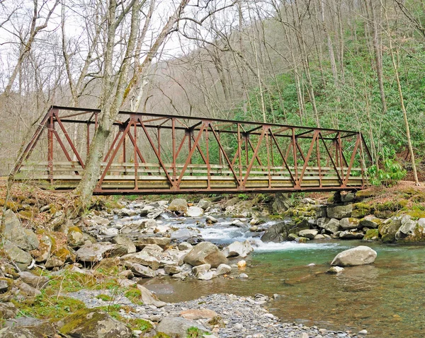 stock image Old Bridge in the smokies